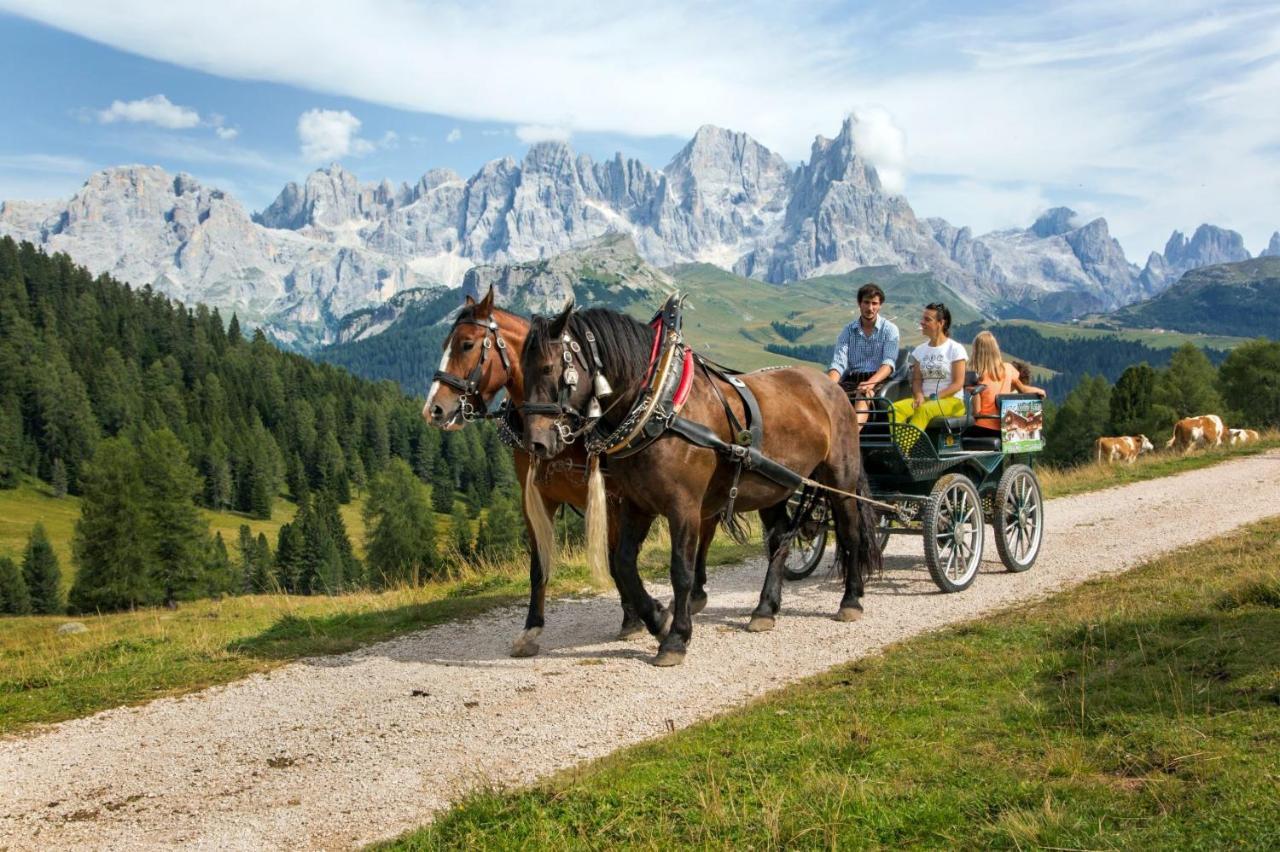 Hotel Italia Castello-Molina di Fiemme Dış mekan fotoğraf